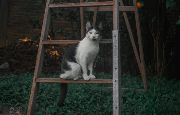 Ultimate guide to choosing orthopedic sandals in australia